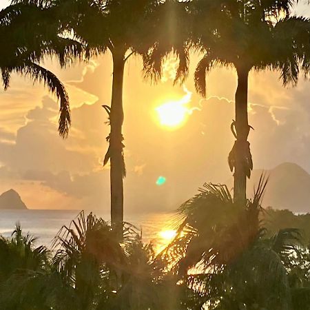 Superbe Studio Martinique Vue Rocher Du Diamant Sainte-Luce Eksteriør billede